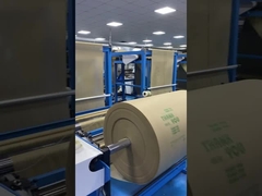 In mẫu tùy chỉnh vải không dệt vải PP Carry/Cloth/Wine Bag